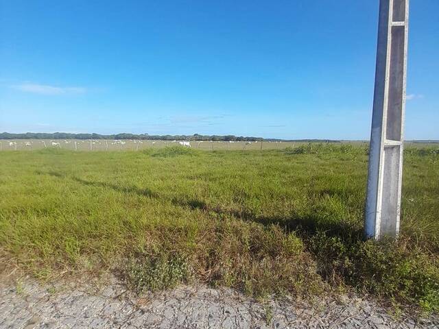 #523 - Terreno para Venda em Tibau do Sul - RN - 1