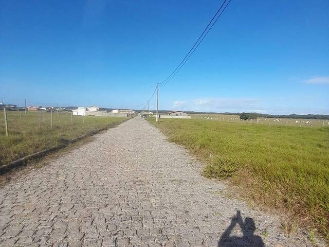 #523 - Terreno para Venda em Tibau do Sul - RN - 2