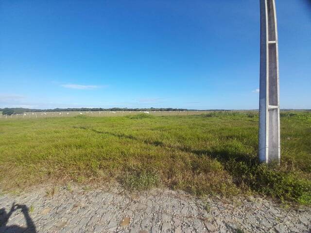 #523 - Terreno para Venda em Tibau do Sul - RN - 3