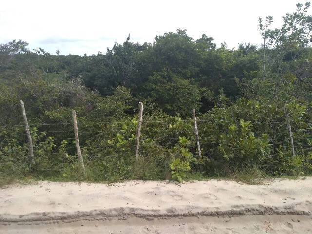 #3 - Área para Venda em Tibau do Sul - RN - 1