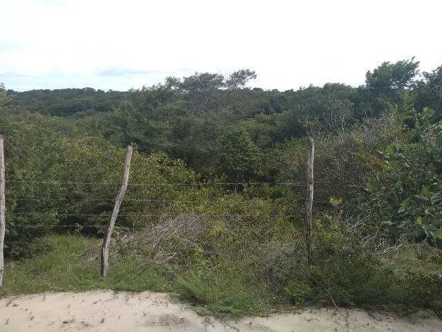 #3 - Área para Venda em Tibau do Sul - RN - 3