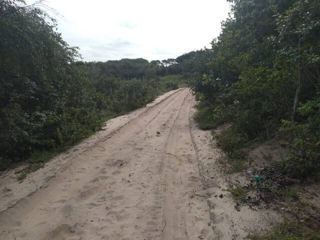 #3 - Área para Venda em Tibau do Sul - RN - 2