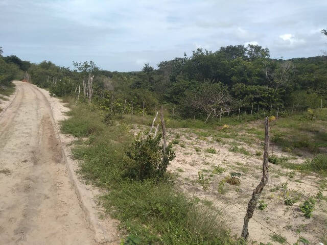 Área para Venda em Tibau do Sul - 4