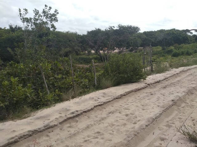 Área para Venda em Tibau do Sul - 5