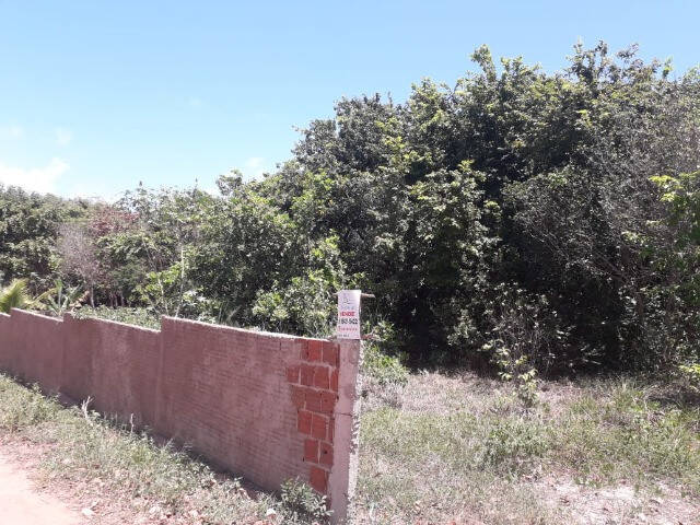 #5 - Terreno para Venda em Tibau do Sul - RN