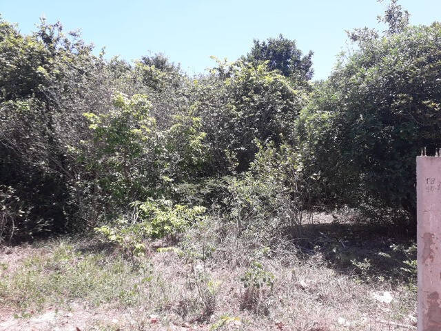 #5 - Terreno para Venda em Tibau do Sul - RN