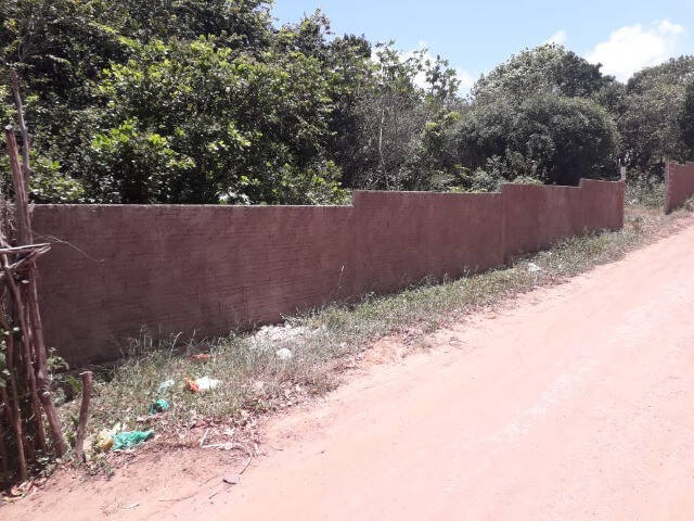 Terreno para Venda em Tibau do Sul - 4