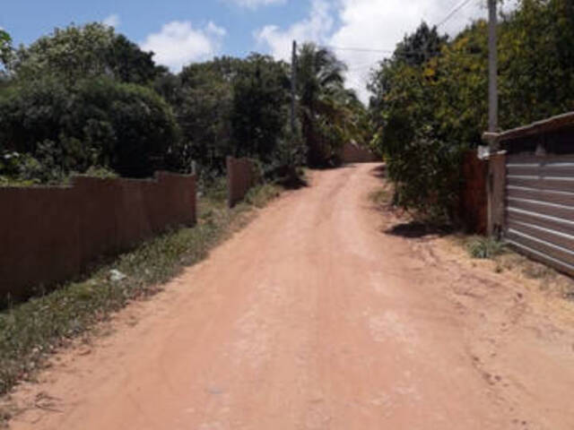 Terreno para Venda em Tibau do Sul - 5