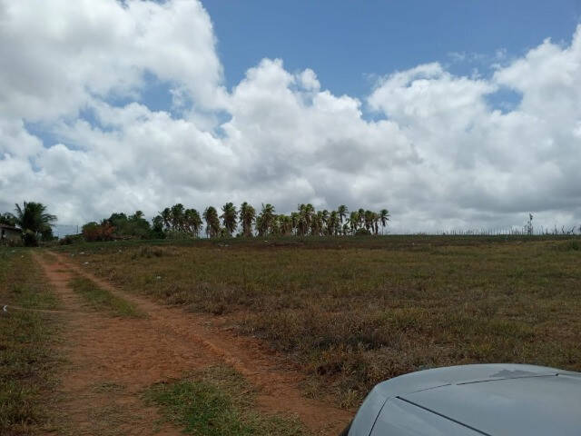  para  em  - 5