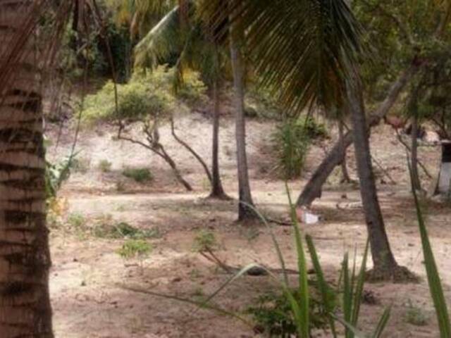 #24 - Área para Incorporação para Venda em Tibau do Sul - RN - 1