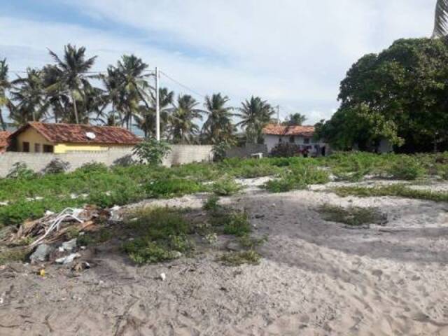 #47 - Terreno para Venda em Tibau do Sul - RN - 2