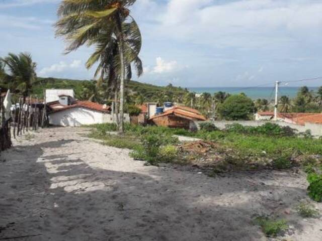 #47 - Terreno para Venda em Tibau do Sul - RN - 3