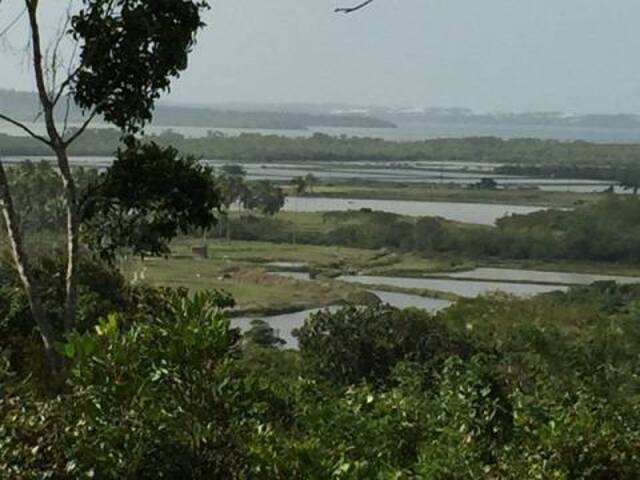 Área para Incorporação para Venda em Tibau do Sul - 4
