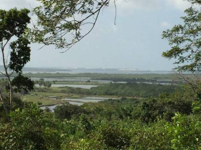 Área para Incorporação para Venda em Tibau do Sul - 5