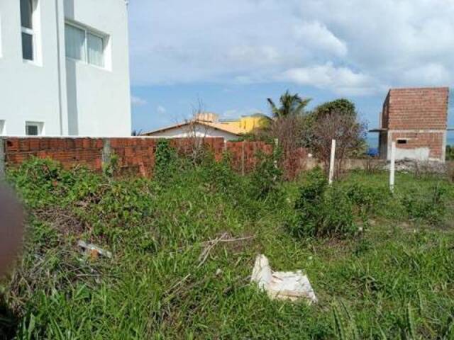 #78 - Terreno para Venda em Tibau do Sul - RN - 3