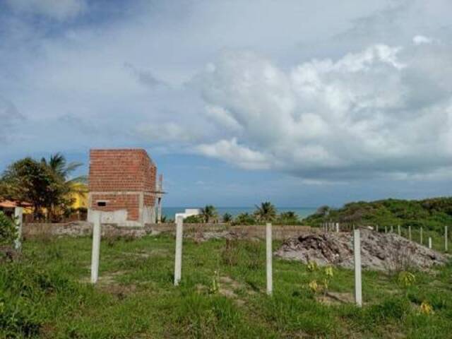 Terreno para Venda em Tibau do Sul - 4