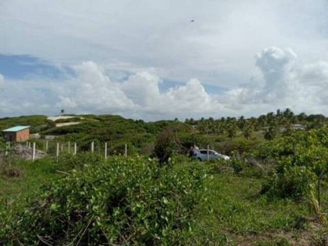 Terreno para Venda em Tibau do Sul - 5