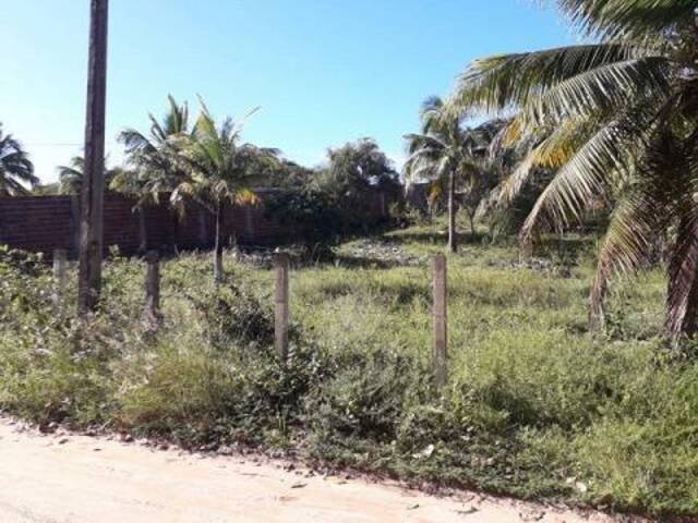 Terreno para Venda em Tibau do Sul - 2