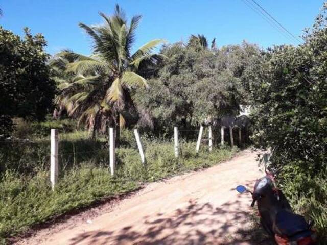 #80 - Terreno para Venda em Tibau do Sul - RN