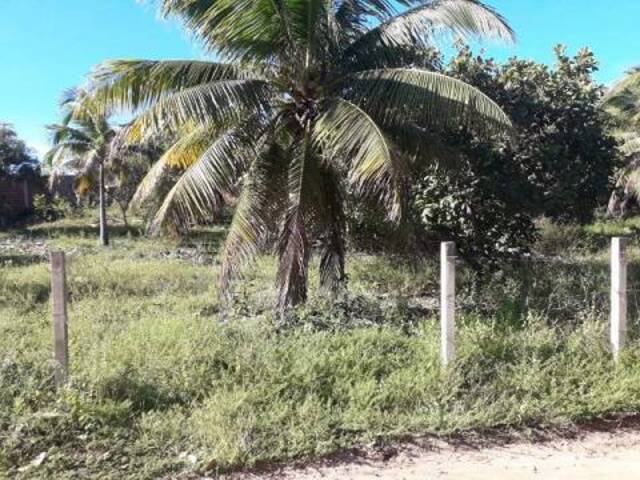 Terreno para Venda em Tibau do Sul - 4