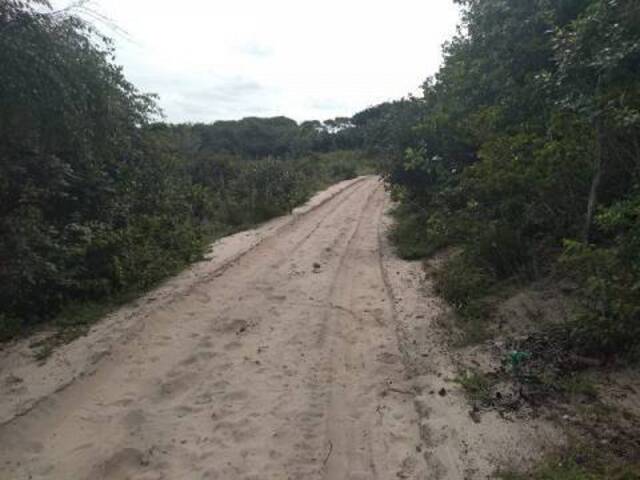 #87 - Área para Venda em Tibau do Sul - RN - 2