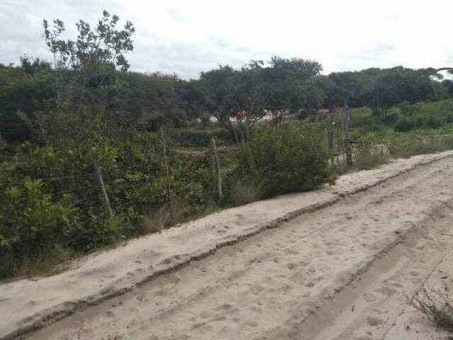 #87 - Área para Venda em Tibau do Sul - RN - 3