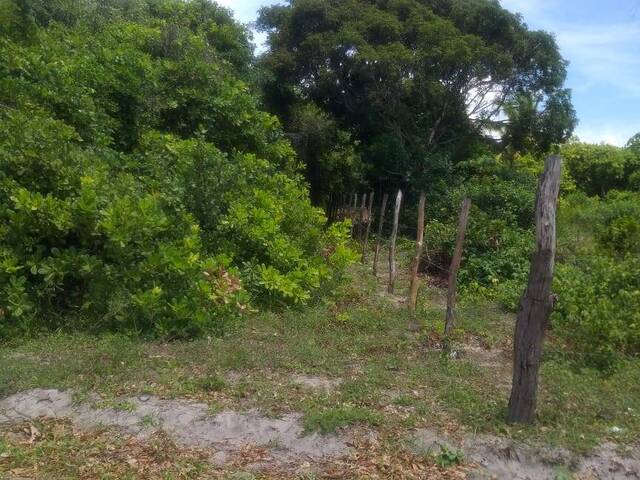#96 - Área para Venda em Tibau do Sul - RN - 1