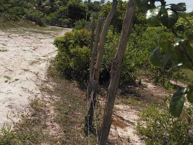 #96 - Área para Venda em Tibau do Sul - RN - 3