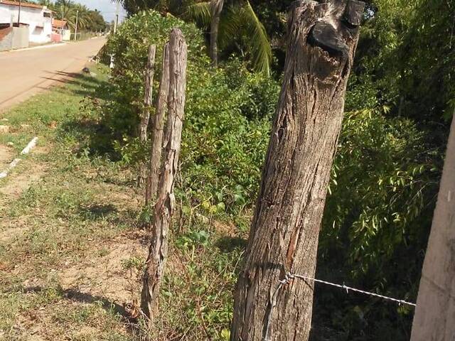 #96 - Área para Venda em Tibau do Sul - RN - 2