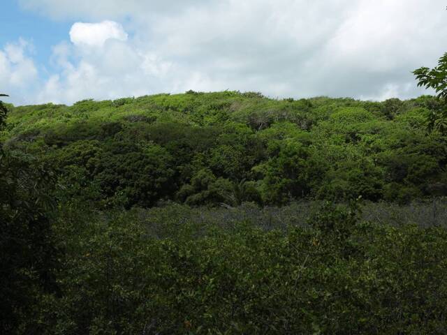 Área para Incorporação para Venda em Canguaretama - 4
