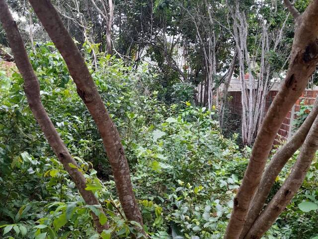 #111 - Área para Venda em Tibau do Sul - RN - 2