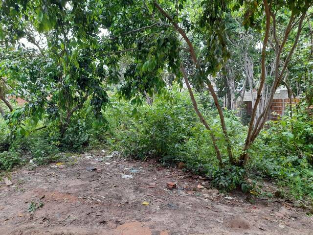 #111 - Área para Venda em Tibau do Sul - RN - 3