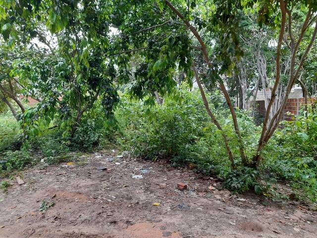 Área para Venda em Tibau do Sul - 4