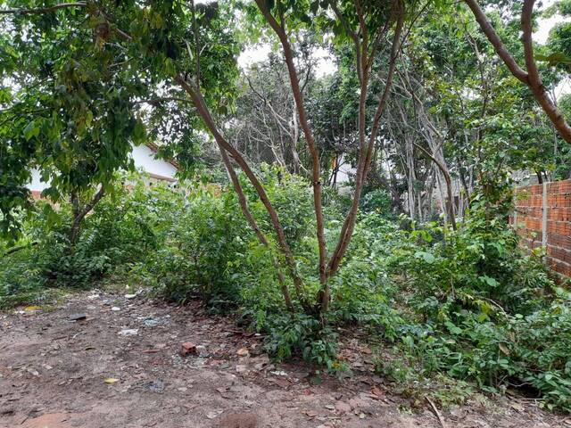 Área para Venda em Tibau do Sul - 5