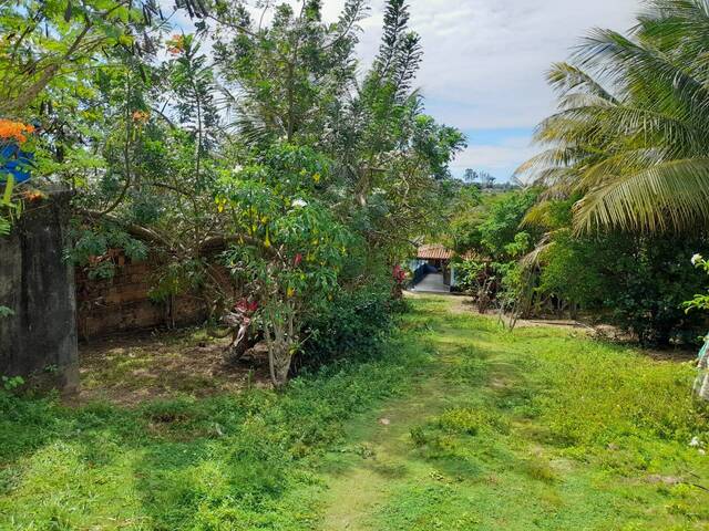 Sítio para Venda em Tibau do Sul - 4