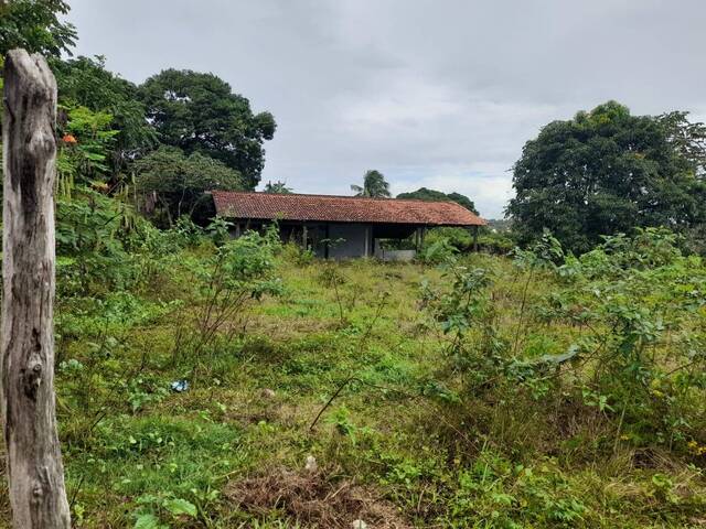 Área para Venda em Tibau do Sul - 4