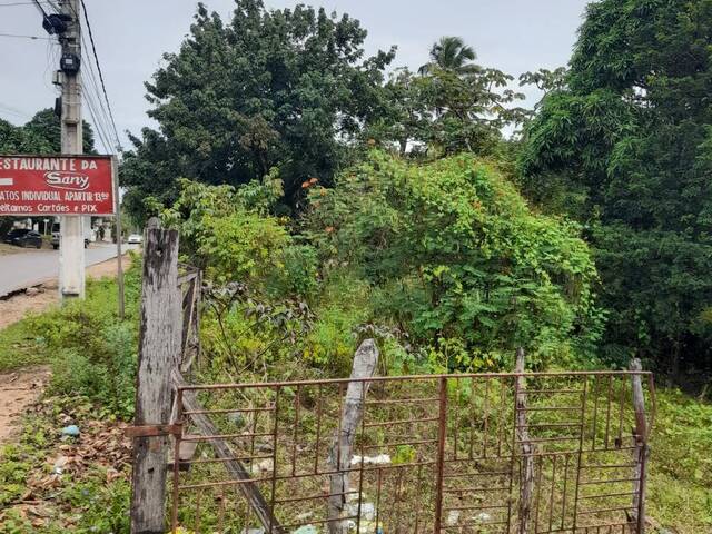 #137 - Área para Venda em Tibau do Sul - RN - 3