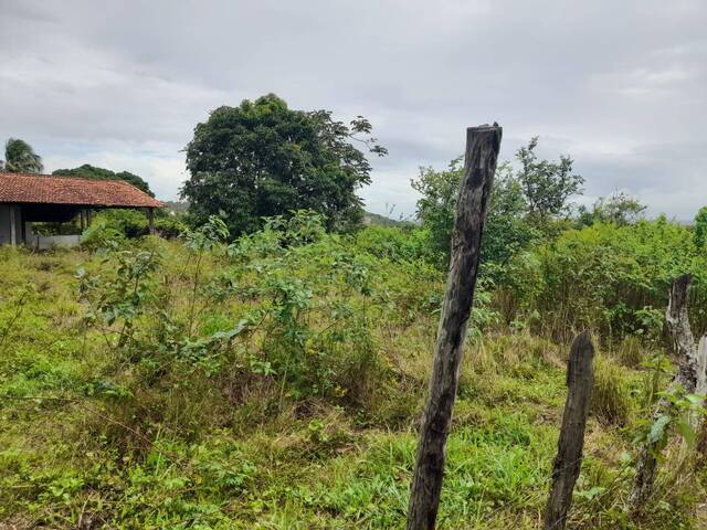 Área para Venda em Tibau do Sul - 5