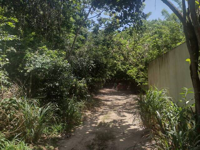 Terreno para Venda em Tibau do Sul - 4