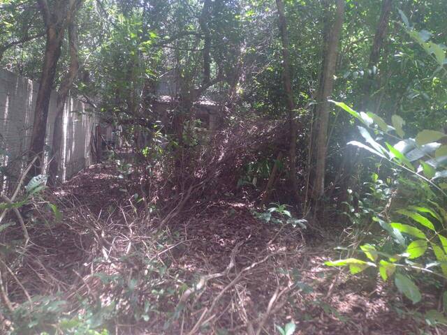 Terreno para Venda em Tibau do Sul - 3