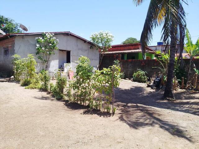 Área para Venda em Tibau do Sul - 4