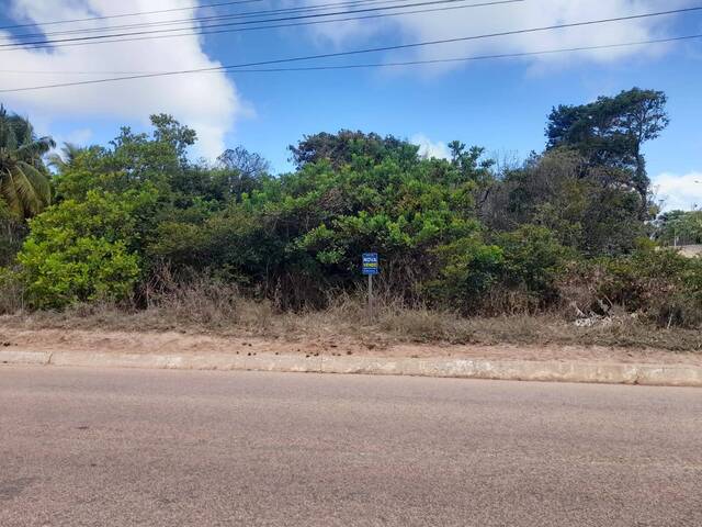 Terreno para Venda em Tibau do Sul - 2