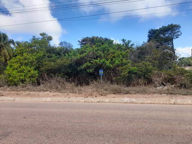 Terreno para Venda em Tibau do Sul - 4