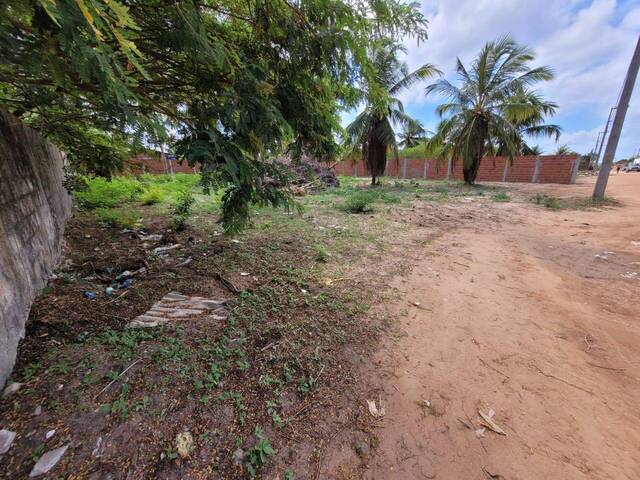 #185 - Área para Venda em Tibau do Sul - RN - 2