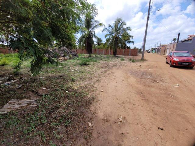 Área para Venda em Tibau do Sul - 5