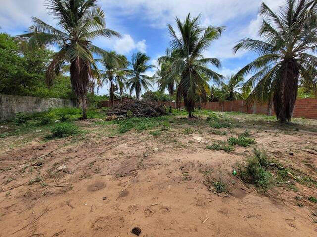 Área para Venda em Tibau do Sul - 4