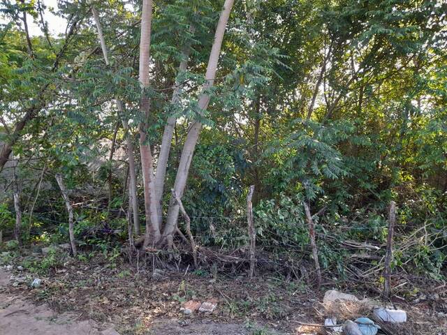 #192 - Terreno para Venda em Tibau do Sul - RN - 1