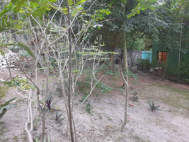#217 - Terreno em condomínio para Venda em Tibau do Sul - RN - 2