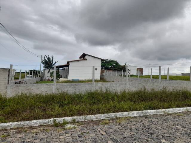 Casa para Venda em Tibau do Sul - 4