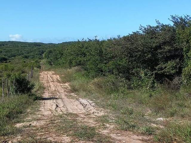 #253 - Terreno para Venda em Tibau do Sul - RN - 3